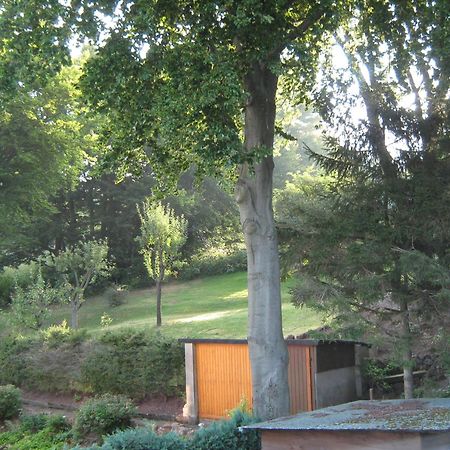 Ferienwohnung Sauerland Panorama Корбах Екстериор снимка