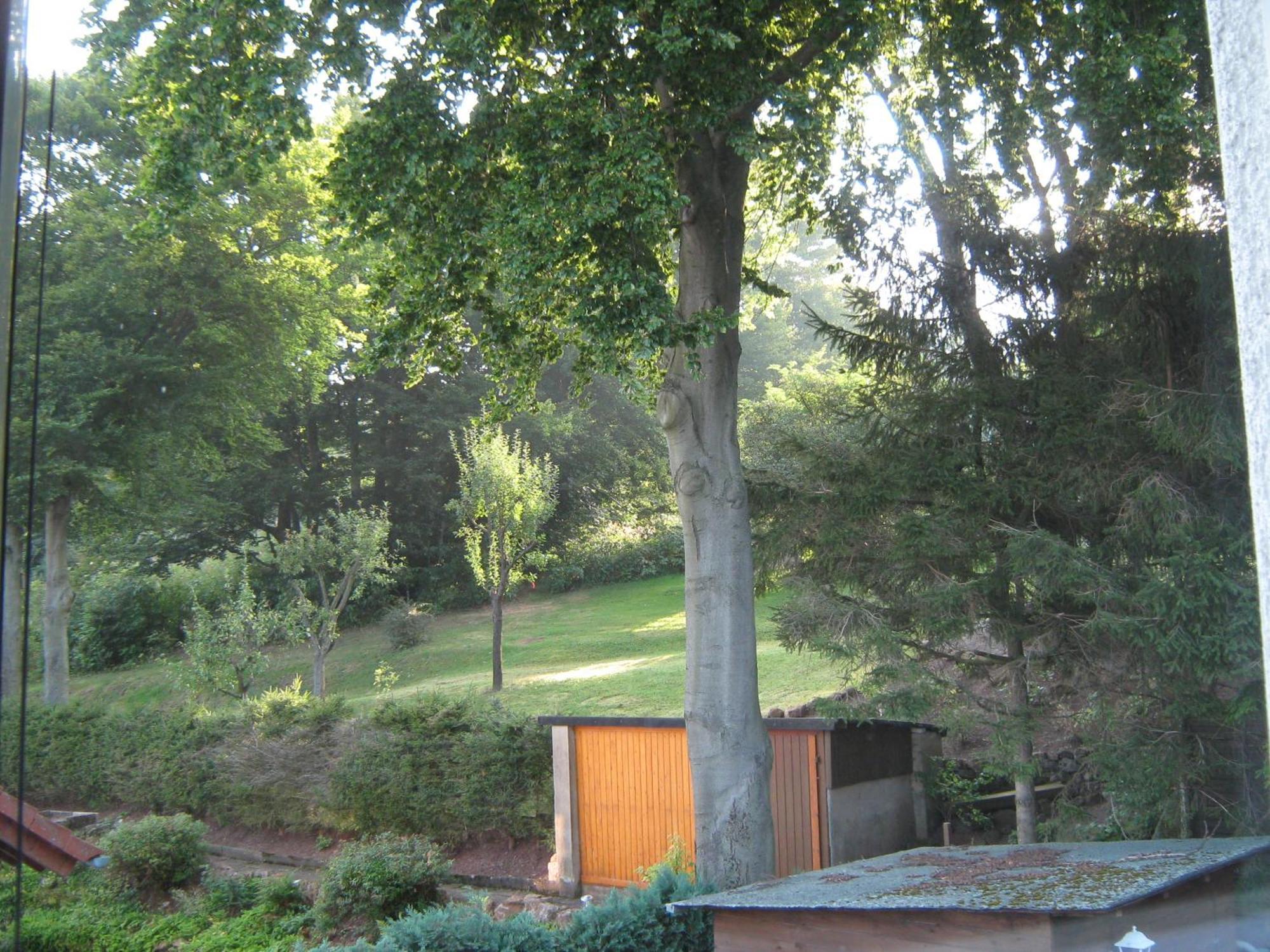 Ferienwohnung Sauerland Panorama Корбах Екстериор снимка
